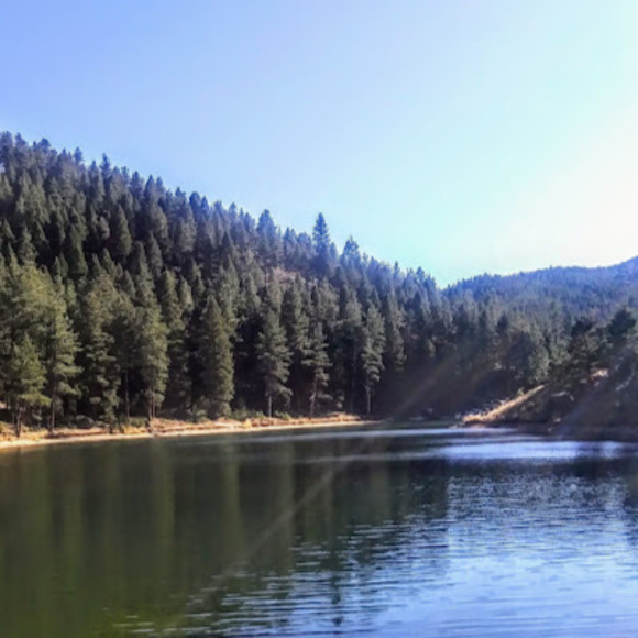 Meet your Posher, Corina - Picture 1 of 1